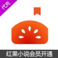 红果小说会员开通