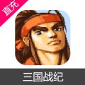 三国战纪 点券 元宝充值