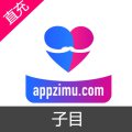 子目 充值