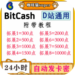 DL点数DListe bitcash